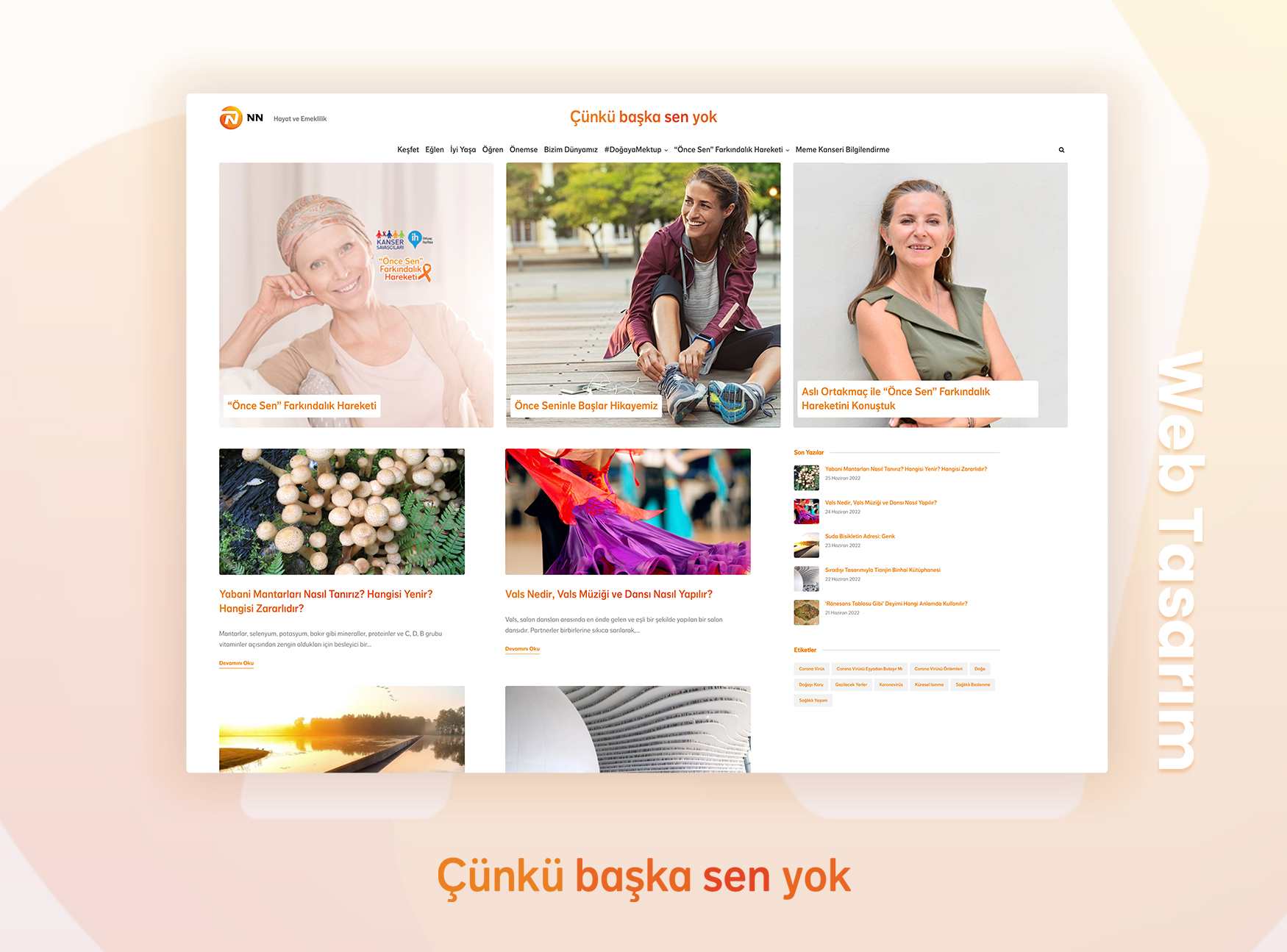 NN Hayat ve Emeklilik - Web Projesi